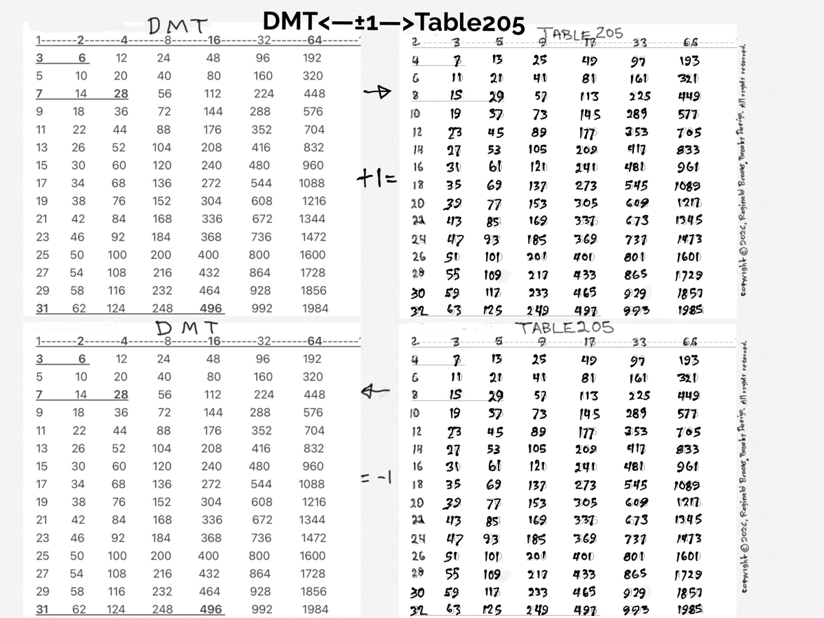 DMT-->T205-->DMT