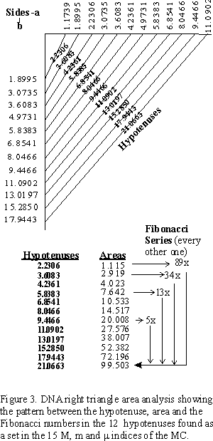 Geometry of DNA, the Fibonacci series and the hypotenuses of the right triangles derived from the DNA Master Chart