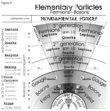 Dark matter=Dark energy, Figure 9. Elementary Particles, Fermions to Bosons, Fundamental Forces